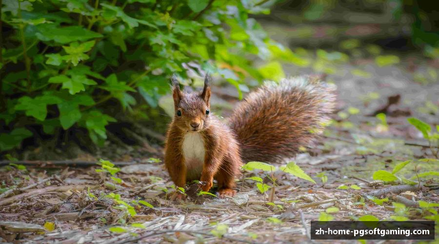 PG模拟器 | PG电子「PG模拟器试玩」 PG Game